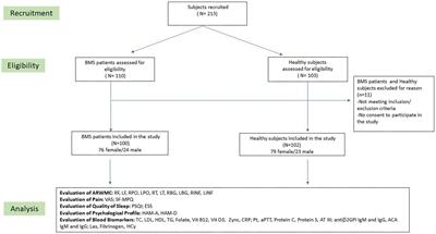 White matter hyperintensities in Burning Mouth Syndrome assessed according to the Age-Related White Matter Changes scale